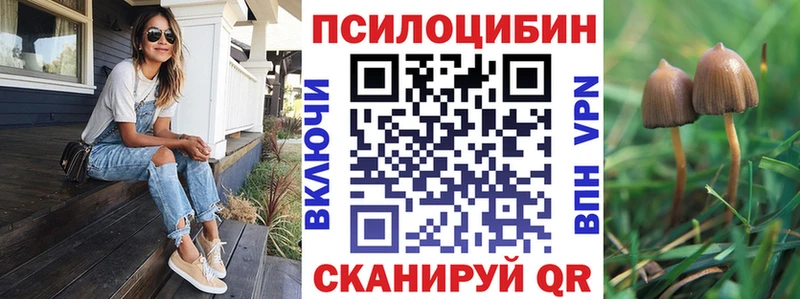 Купить закладки  Сочи  Галлюциногенные грибы Psilocybine cubensis 